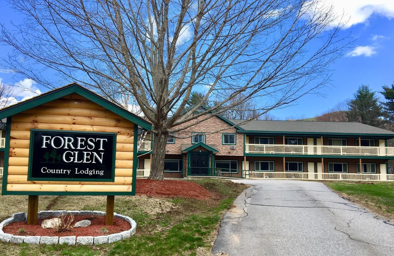 Forest Glen Inn North Conway Εξωτερικό φωτογραφία